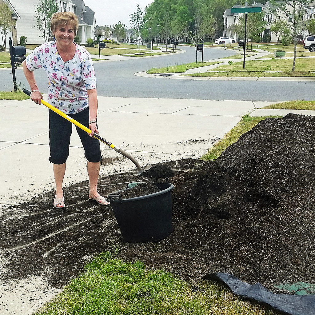 my first organic garden