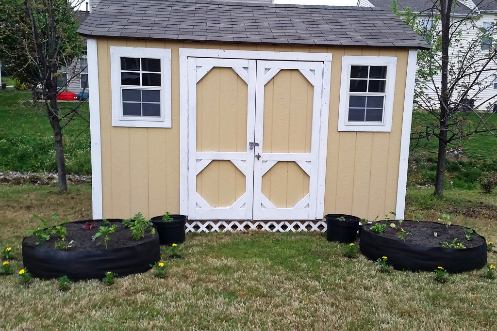my first organic garden