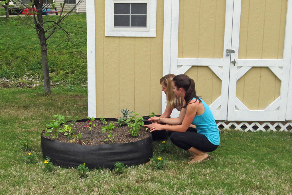 my first organic garden