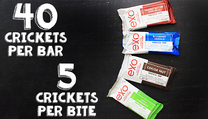 Product Review Exo Cricket Protein Bars 3