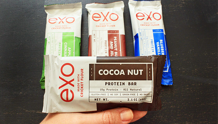 Product Review Exo Cricket Protein Bars2