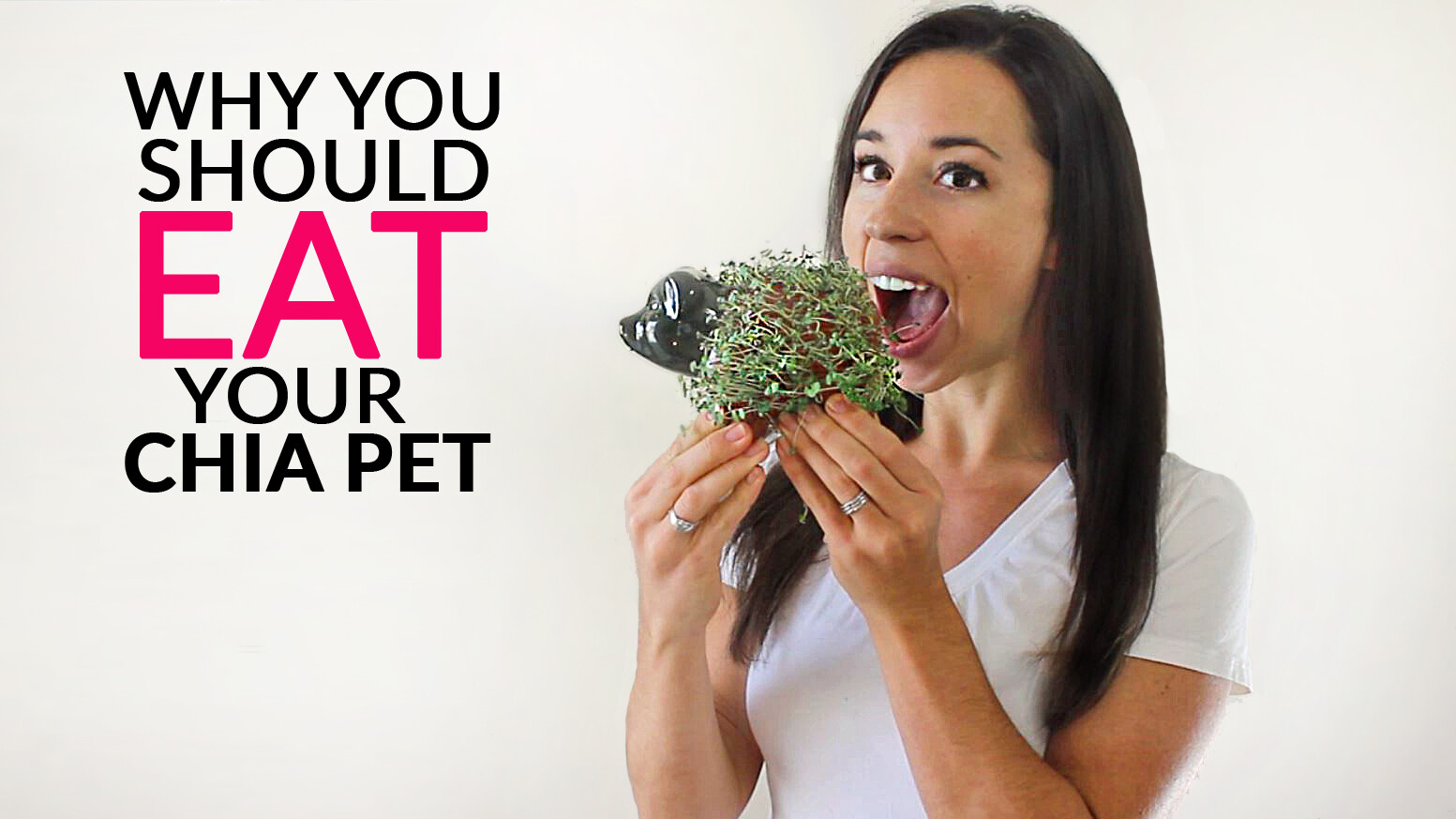 Why You Should Eat Your Chia Pet