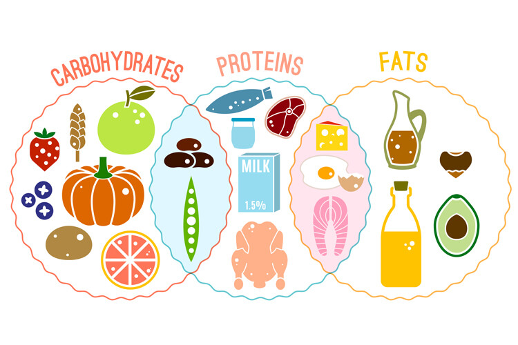 The Scoop on Macronutrients